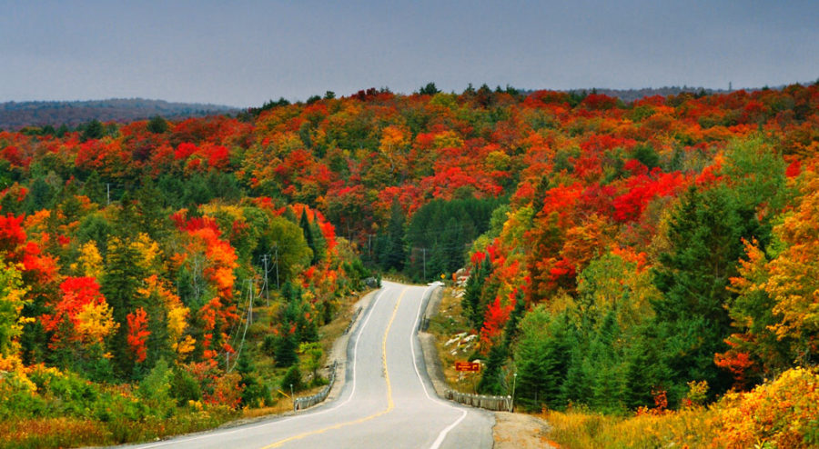 14 Tips For Fall Driving