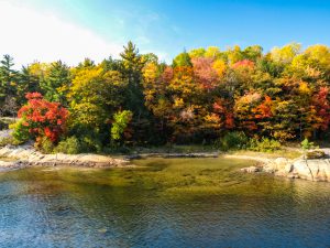 Fall Colours on the shore of Lake Huron