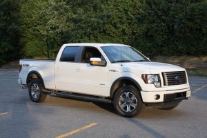 White Ford F-150