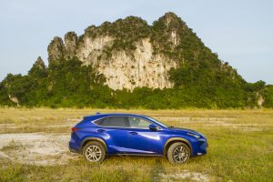 Lexus NX 200t car