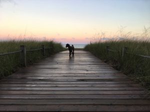 Southampton Boardwalk