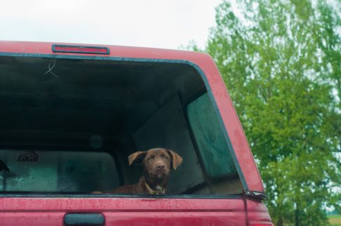 Truck Caps Vs. Tonneau Covers