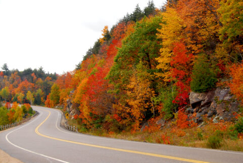 Fall Drive-In Events in Ontario