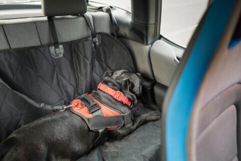 Seat Covers That Will Work for You and Your Family