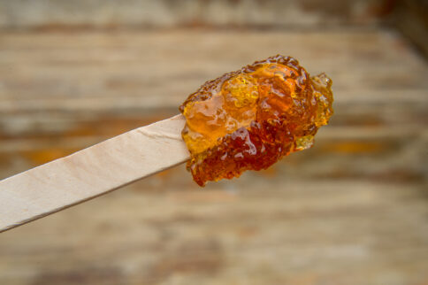 Maple taffy on a stick during sugar shack