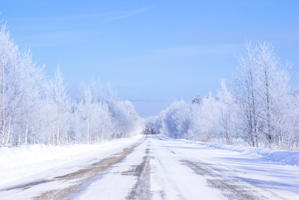 Icy Road - Self Driving Car Con